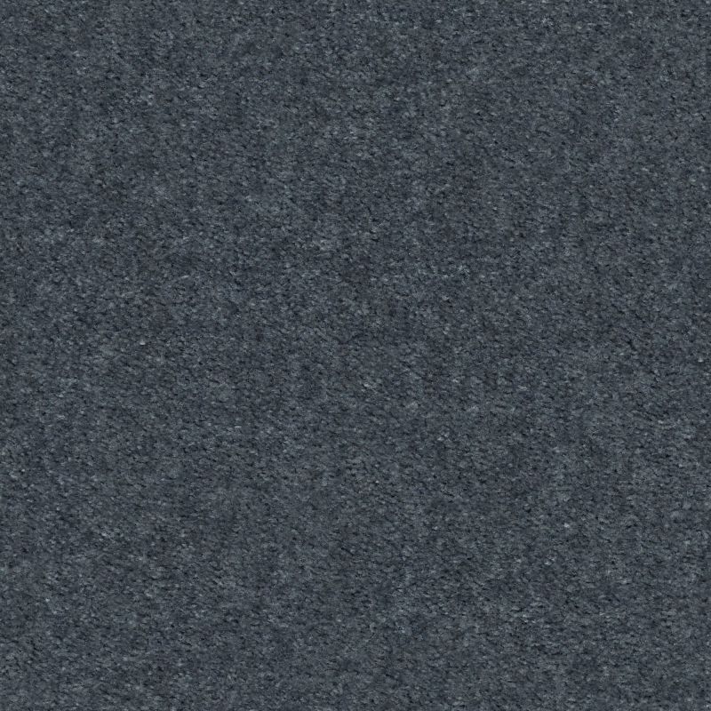 Shaw Floors Value Collections Heroic Net Steele Blue