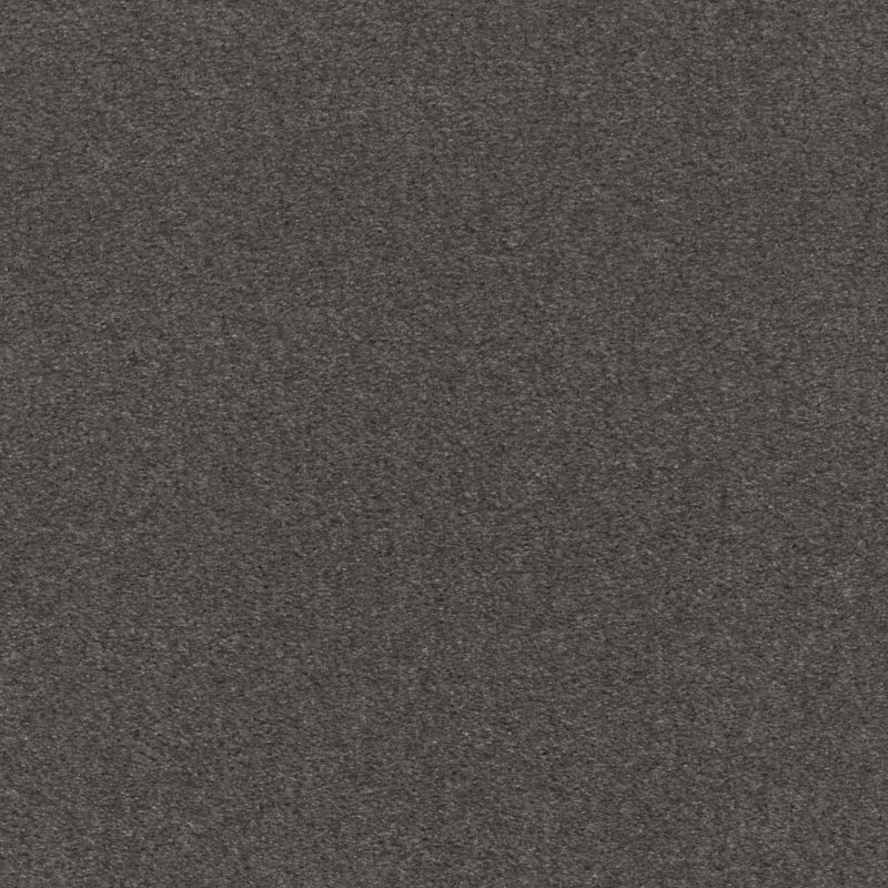 Shaw Floors Value Collections Heroic Net Wrought Iron