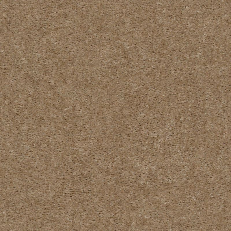 Shaw Floors Value Collections Heroic Net Clay