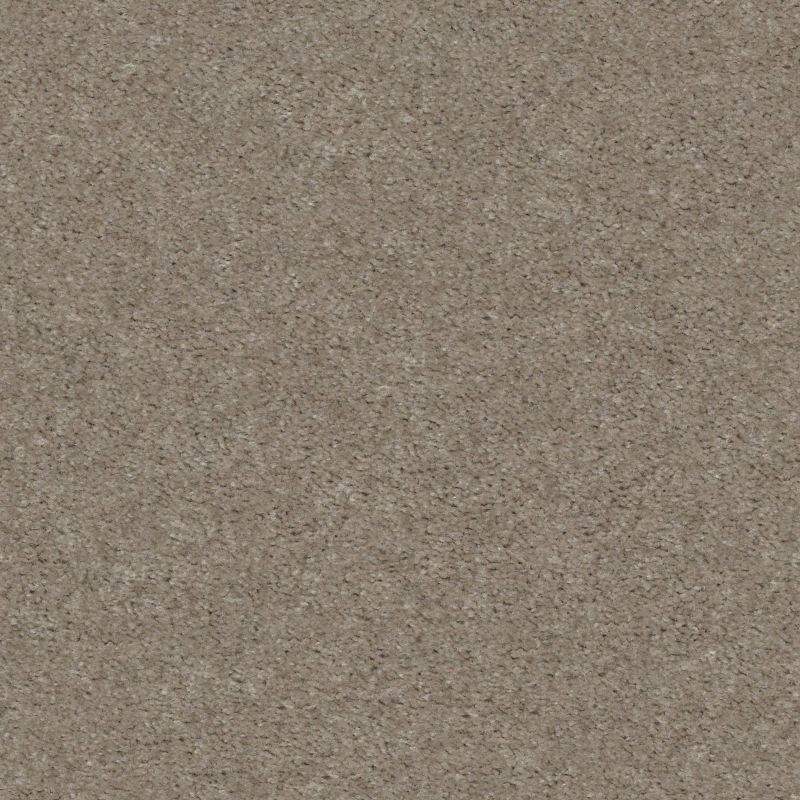 Shaw Floors Value Collections Heroic Net Free Spirit