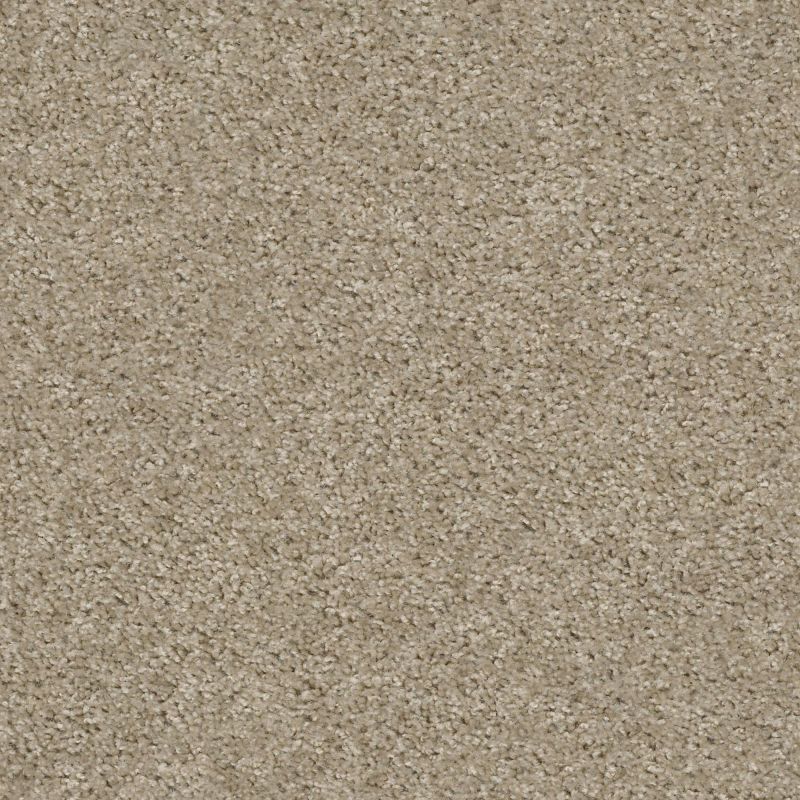 Shaw Floors Value Collections Valiant Net Balboa Mist