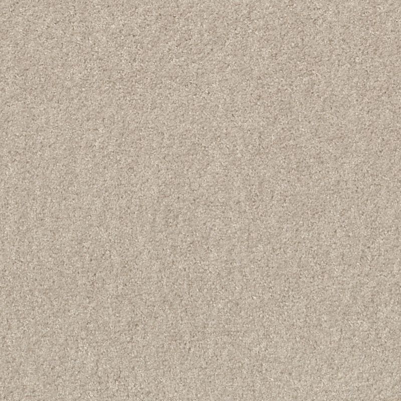 Shaw Floors Value Collections Valiant Net Marble White