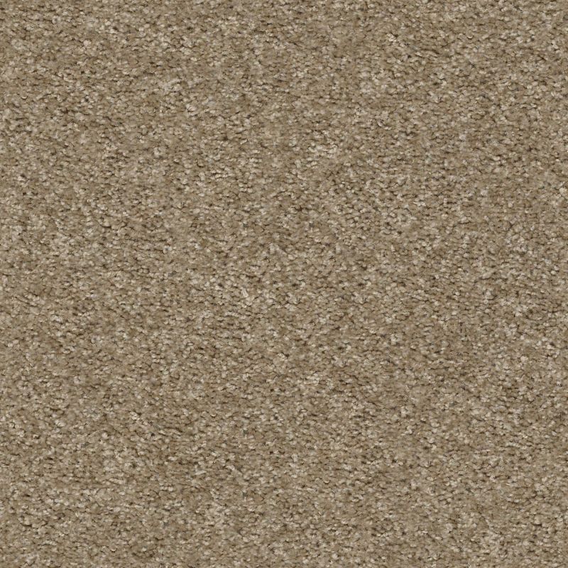 Shaw Floors Value Collections Valiant Net Barnwood