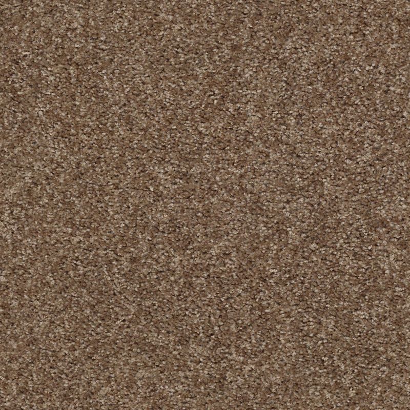Shaw Floors Value Collections Valiant Net Maple Valley