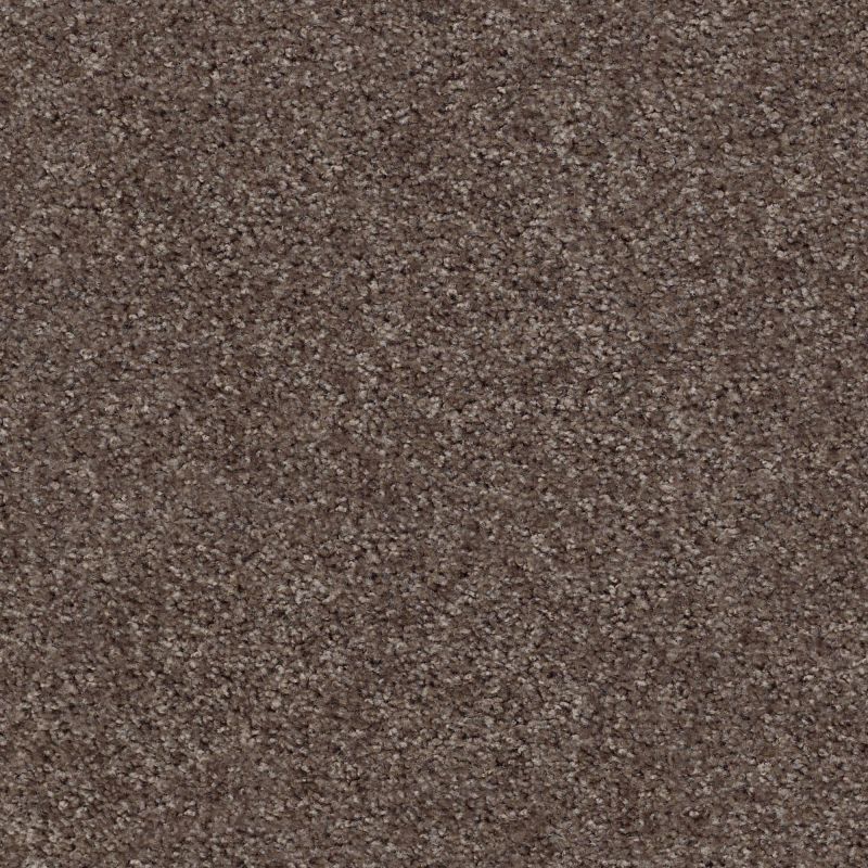Shaw Floors Value Collections Valiant Net Plymouth Rock