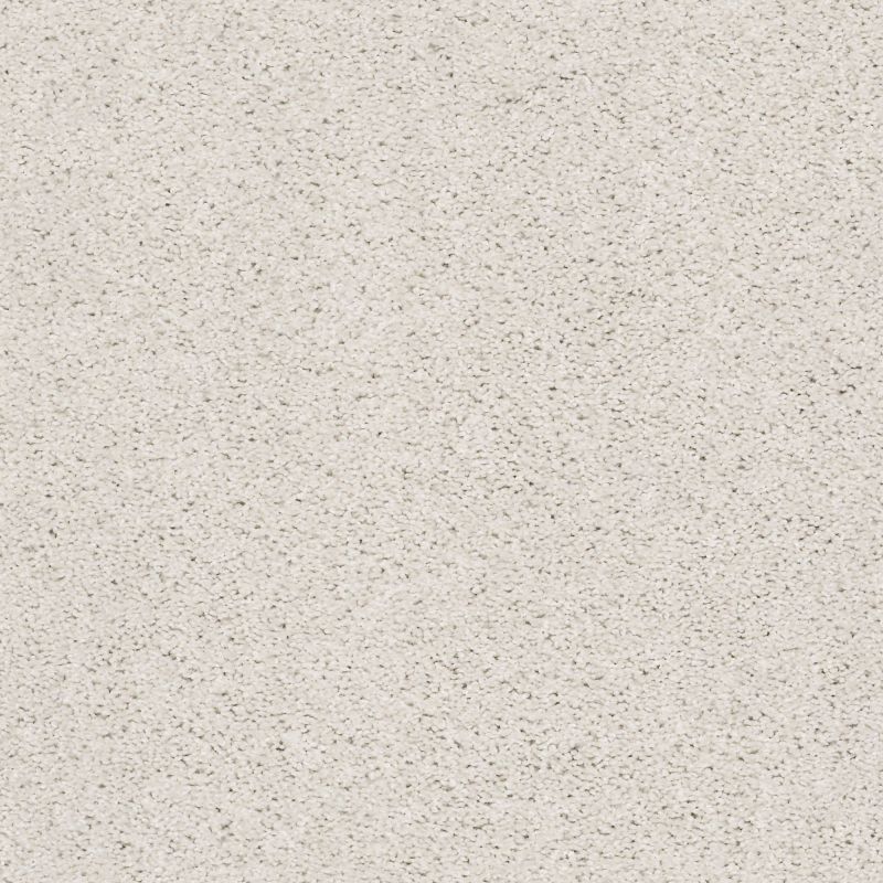Shaw Floors Simply The Best Suave Net Canvas