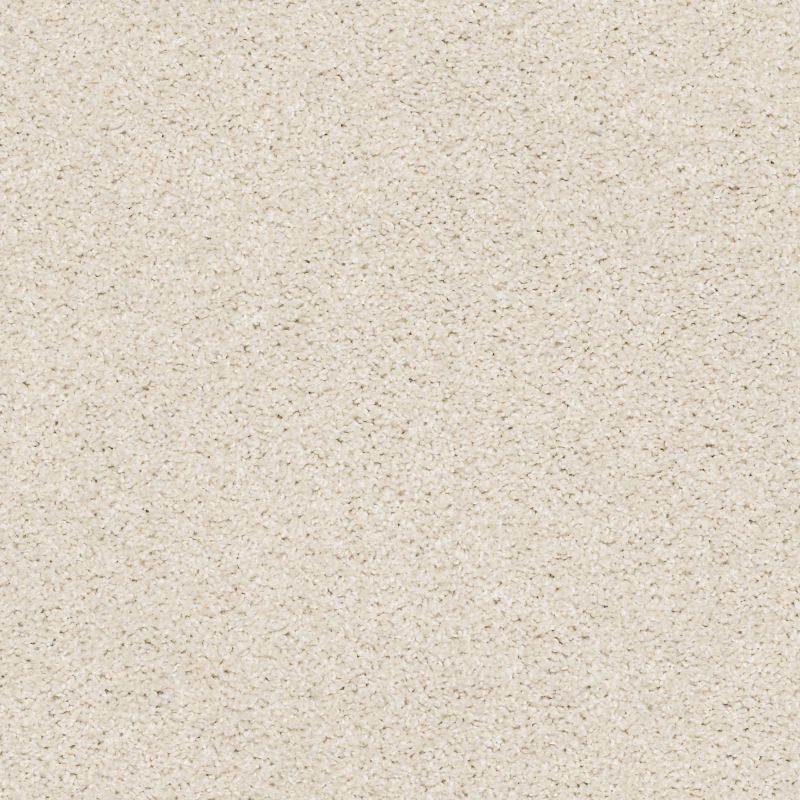 Shaw Floors Simply The Best Suave Net Blondie