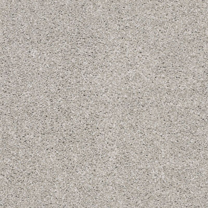 Shaw Floors Simply The Best Suave Net Birch