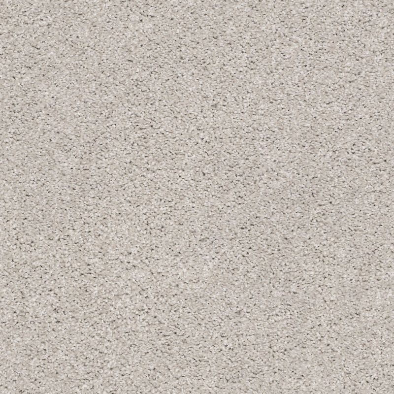 Shaw Floors Simply The Best Suave Net Koala
