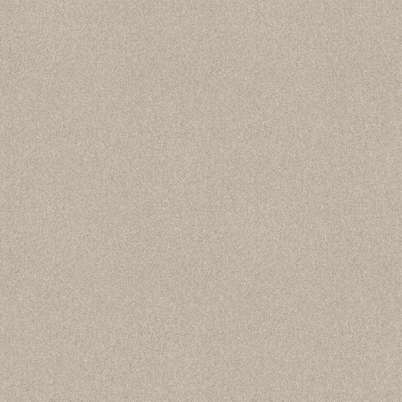 Shaw Floors Foundations Harmonious II Champagne Toast