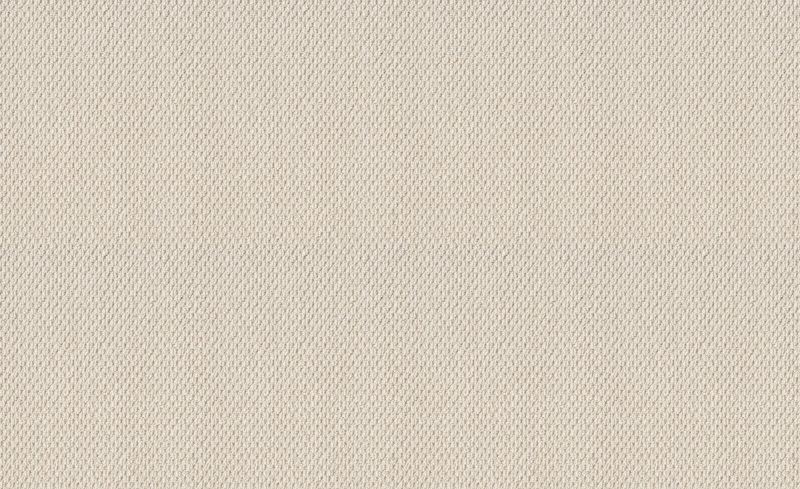 Shaw Floors Foundations Naturalistic Champagne Toast