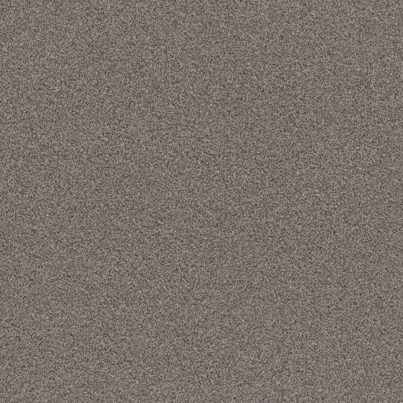 Shaw Floors Pet Perfect Influencer Fossil Path