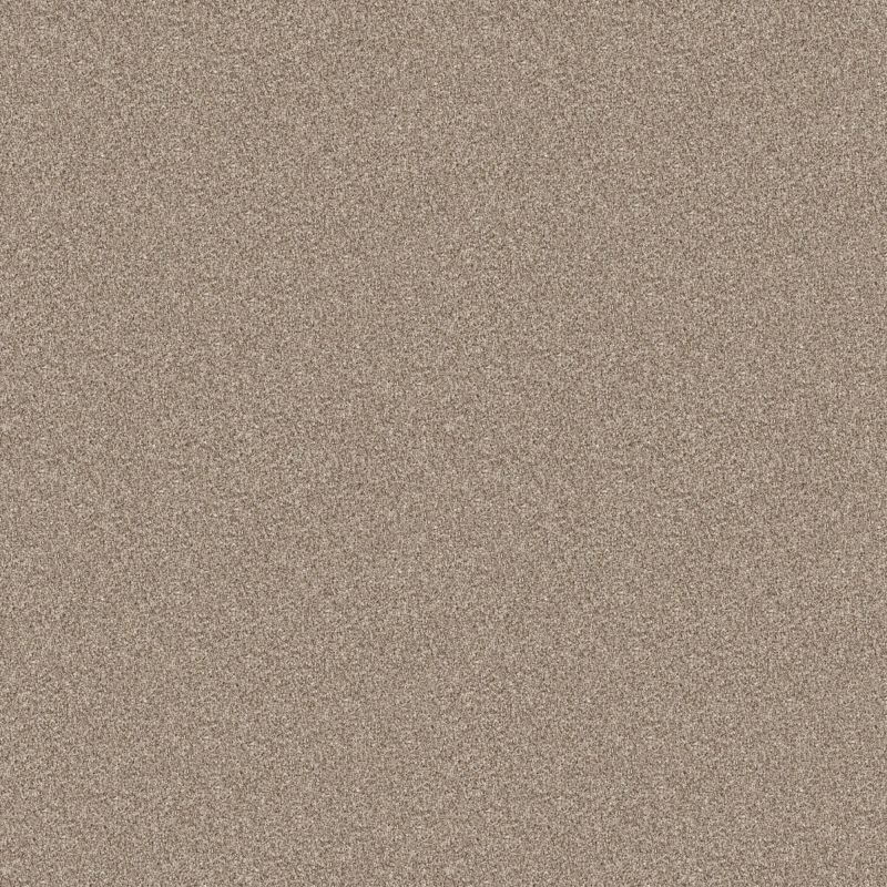 Shaw Floors Pet Perfect Influencer Sunkissed