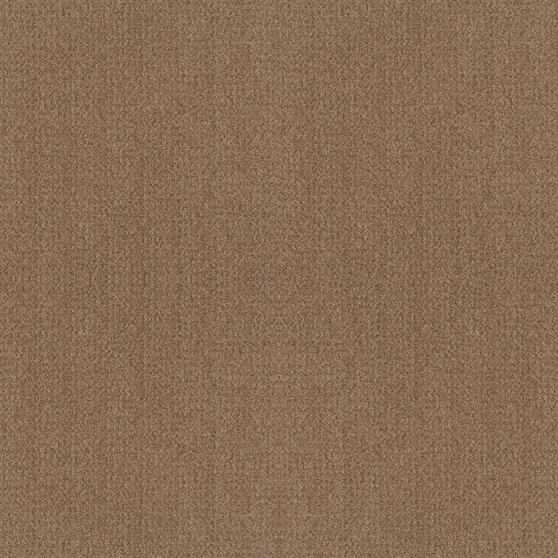 Shaw Floors Foundations Fine Tapestry Raw Wood