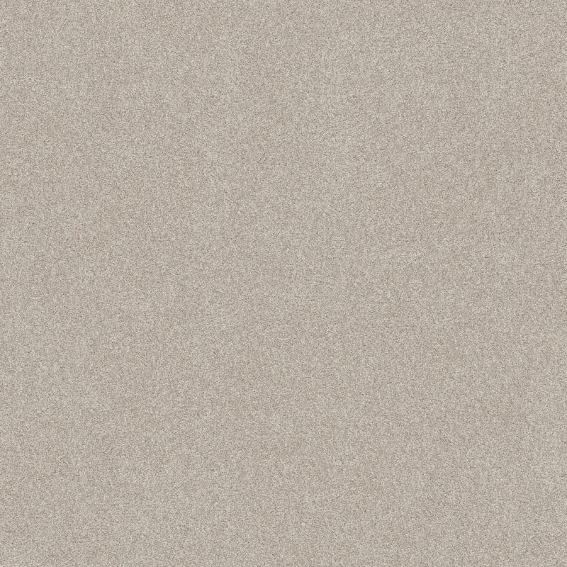 Shaw Floors Foundations Harmonious III Split Sediment