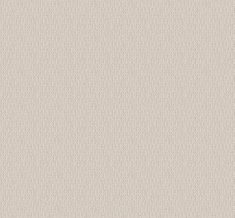 Shaw Floors Simply The Best Loop De Loop Canvas