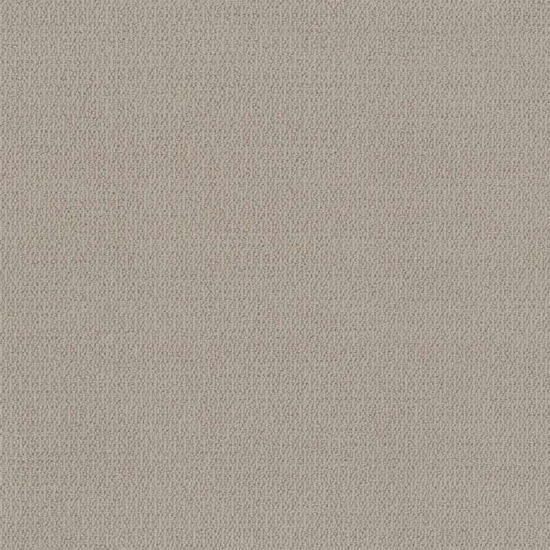 Shaw Floors Simply The Best Loop De Loop Sandstone