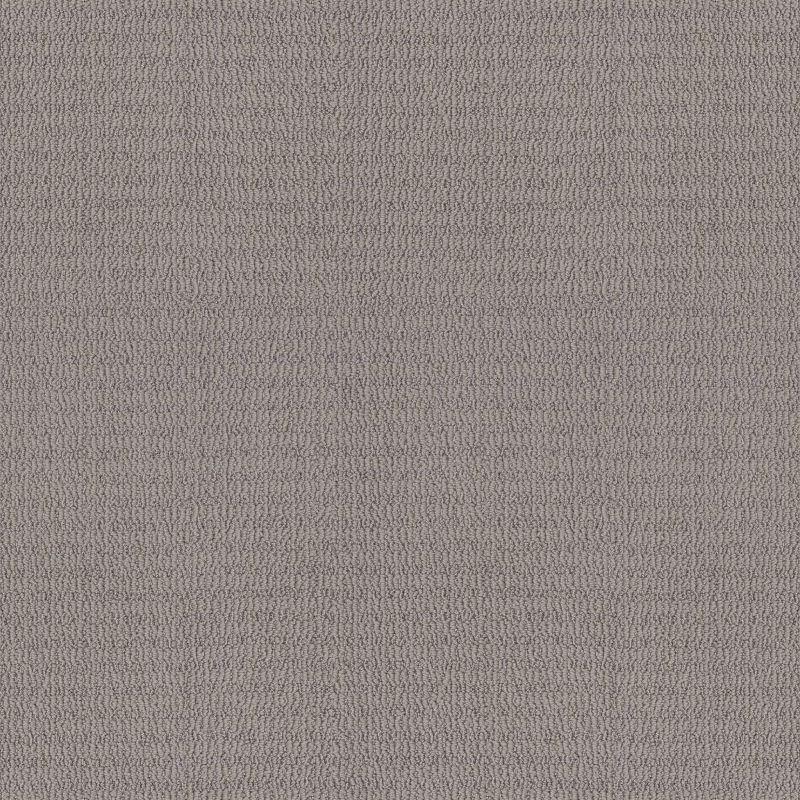 Shaw Floors Pet Perfect Plus Chic Elevation Harbor Dock