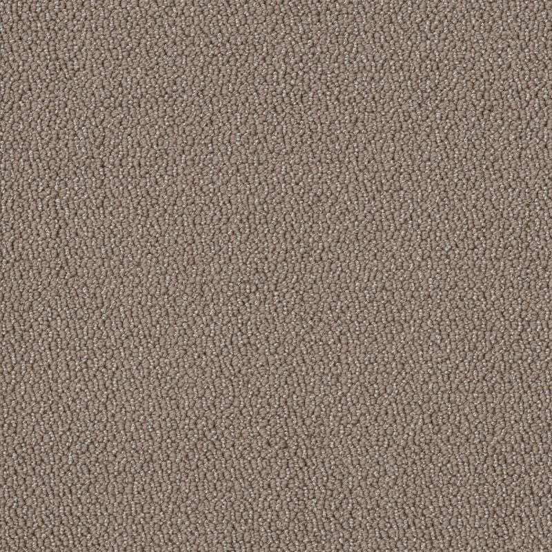 Shaw Floors Simply The Best Embellished Raw Wood