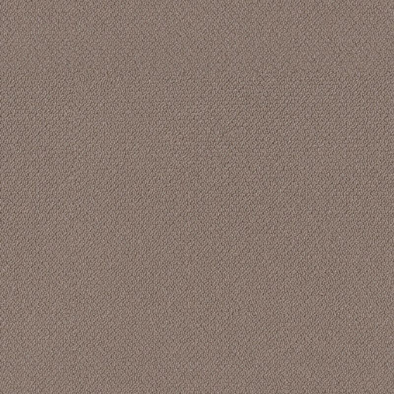 Shaw Floors Simply The Best Embellished Chestnut