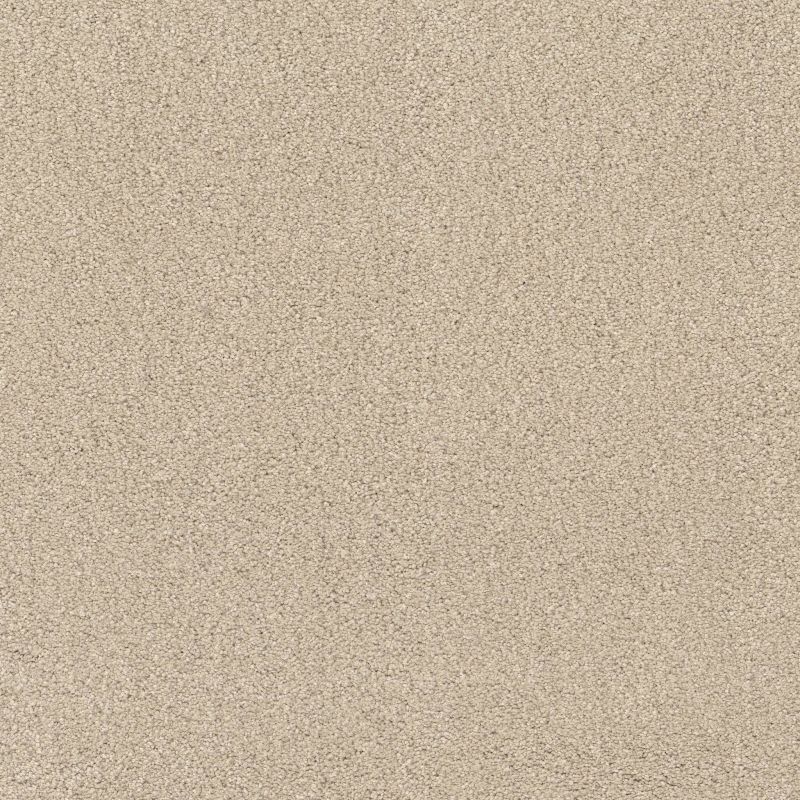 Shaw Floors Value Collections Cashmere Classic 4 Net Cheviot