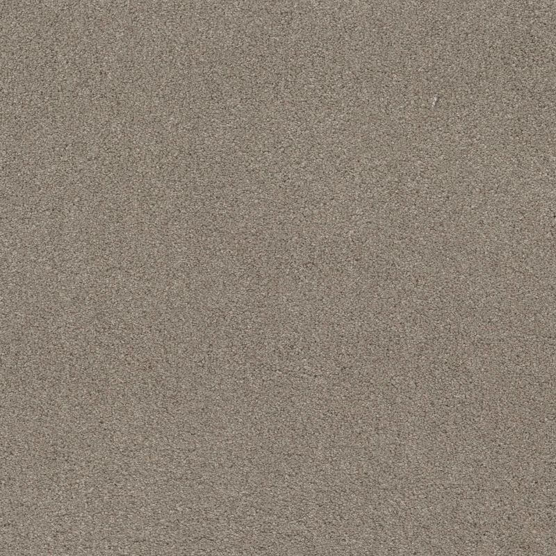Shaw Floors Value Collections Cashmere Classic 4 Net Birch Bark