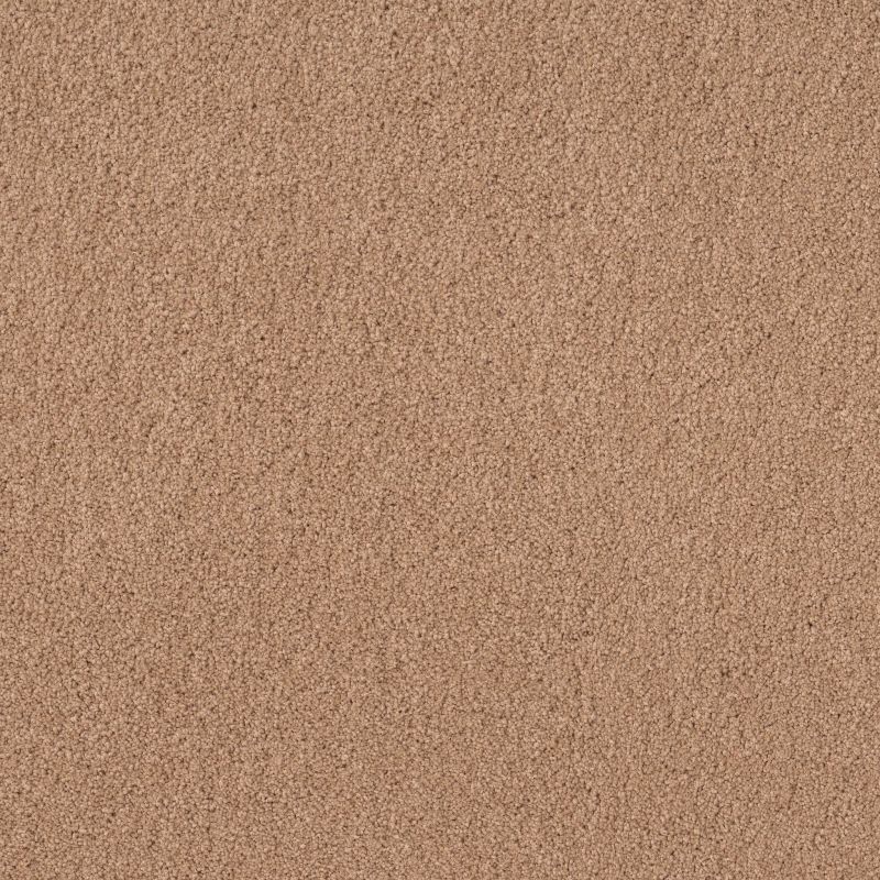 Shaw Floors Value Collections Cashmere Classic 4 Net Maplewood North