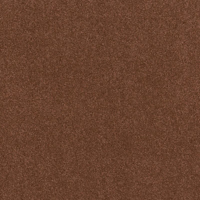 Shaw Floors Value Collections Cashmere Classic 4 Net Rich Henna