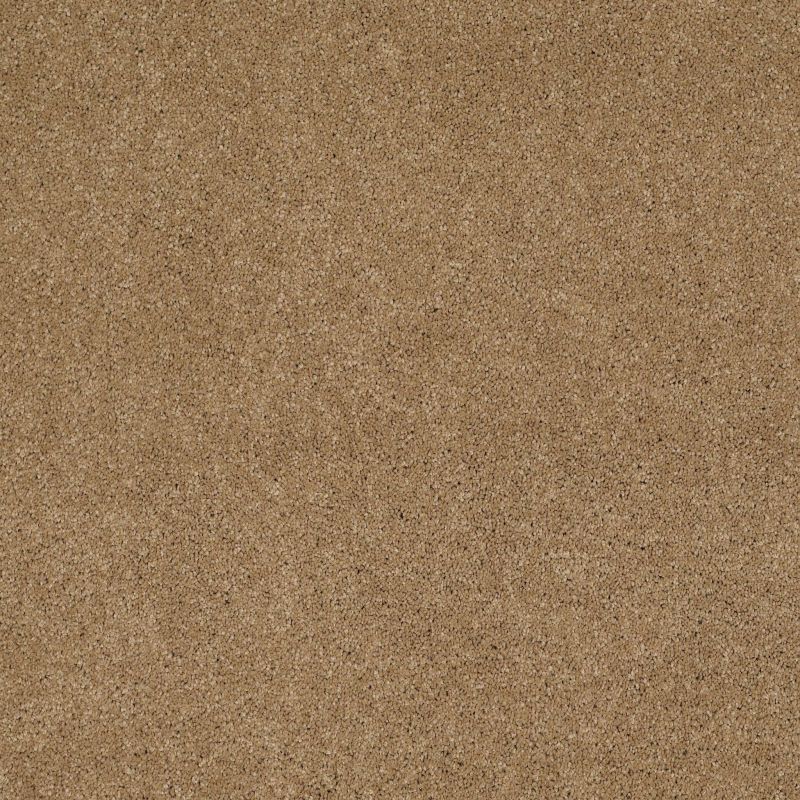 Shaw Floors Value Collections Cashmere Classic 4 Net Navajo