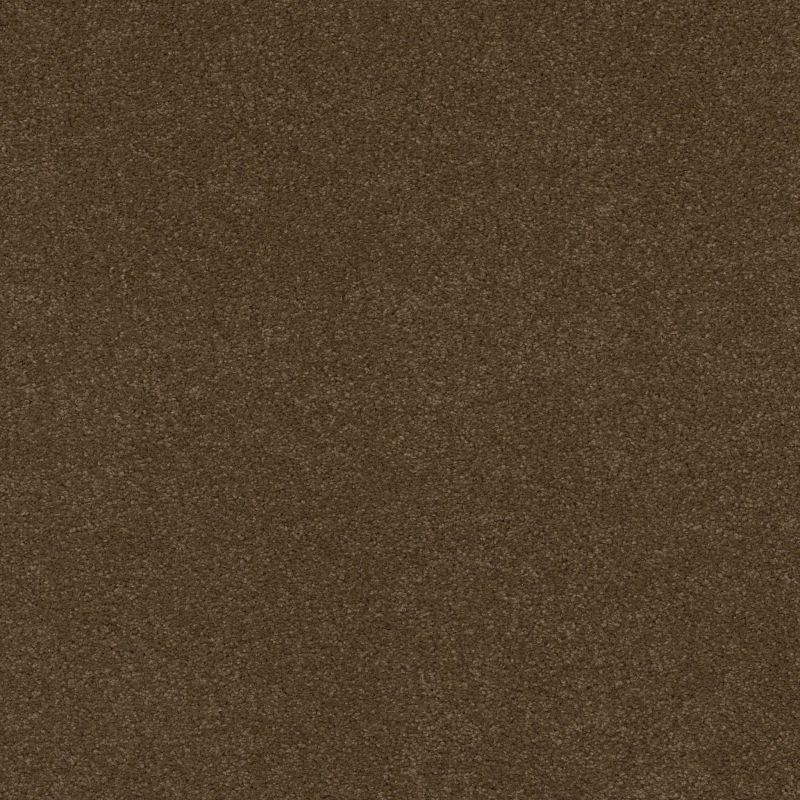 Shaw Floors Value Collections Cashmere Classic 4 Net Bison