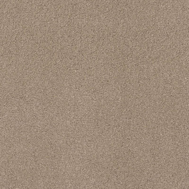Shaw Floors Value Collections Cashmere Classic 4 Net White Pine