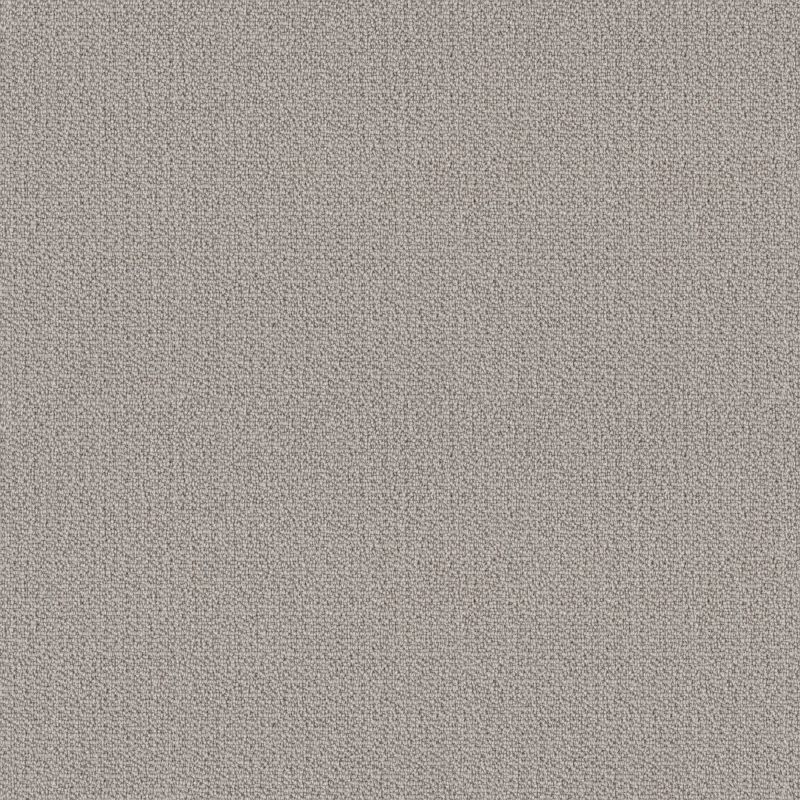 Shaw Floors Simply The Best Loop De Loop Net Warm Greige