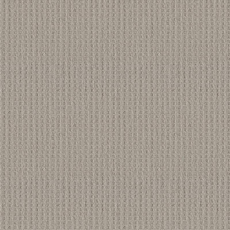 Shaw Floors Simply The Best Framed View Net Sandstone