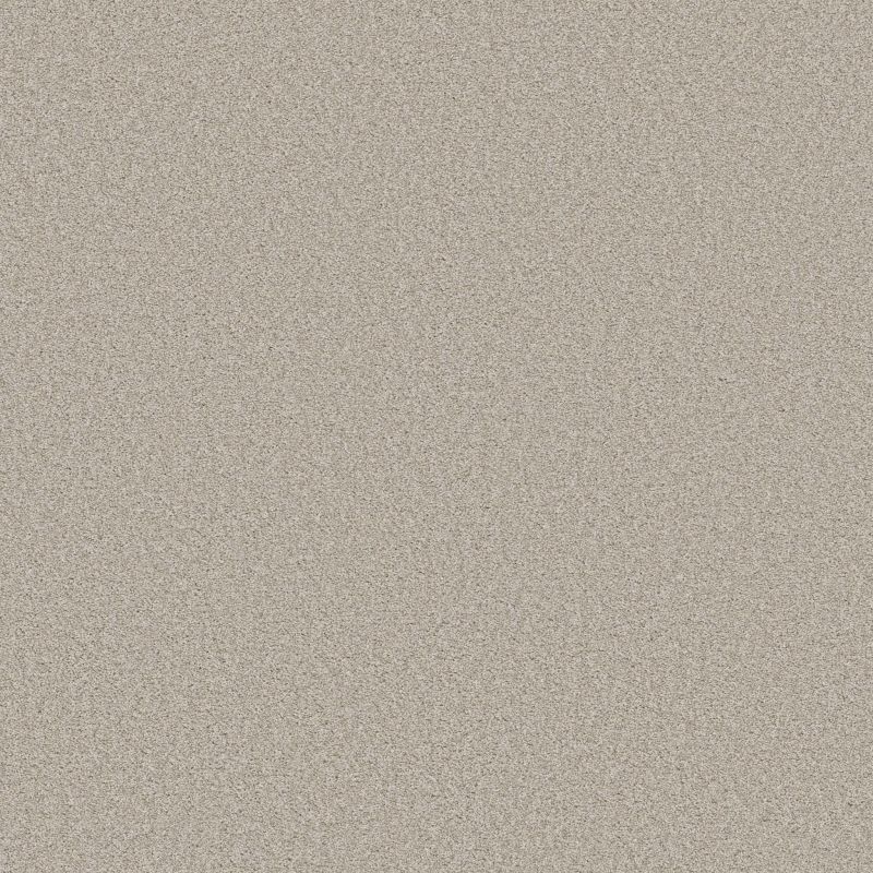 Shaw Floors Foundations Harmonious I Net Split Sediment