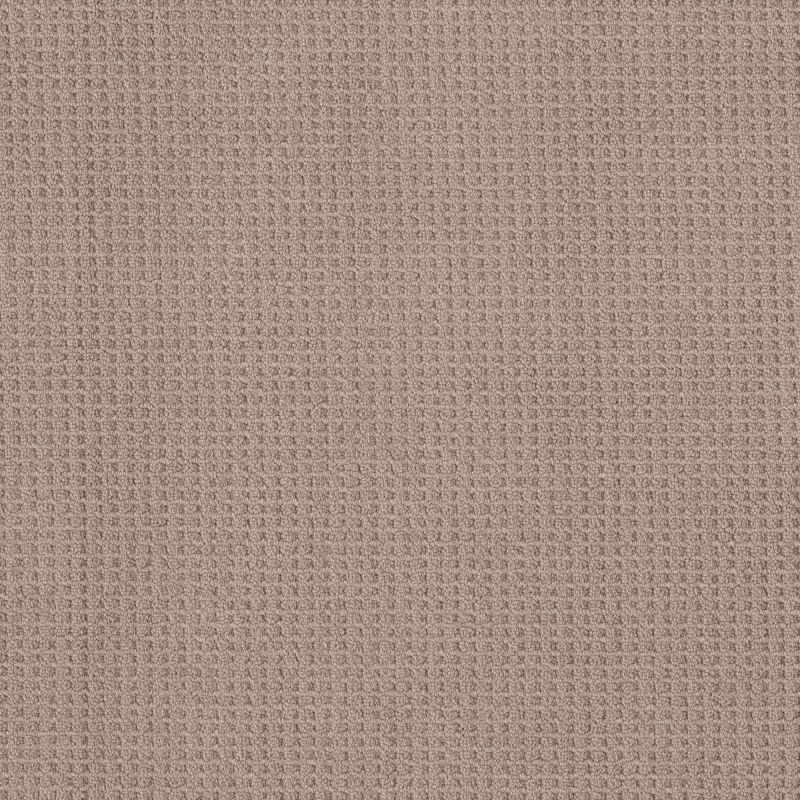 Shaw Floors Foundations Faint Intent Net Raw Wood