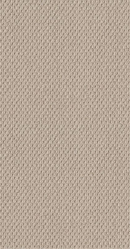 Shaw Floors Foundations Naturalistic Net Sun Kissed
