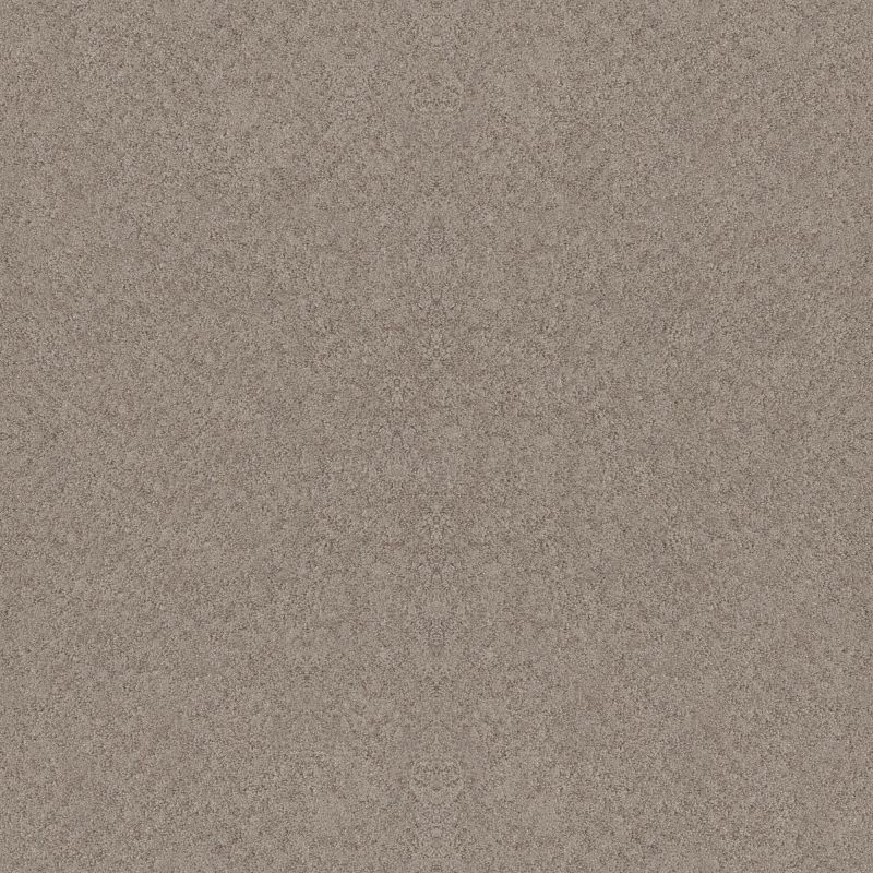 Shaw Floors Foundations Alluring Canvas Net Fossil Path
