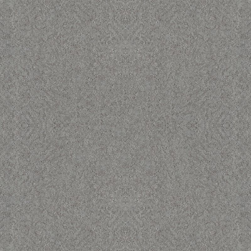Shaw Floors Foundations Alluring Canvas Net Sentimental