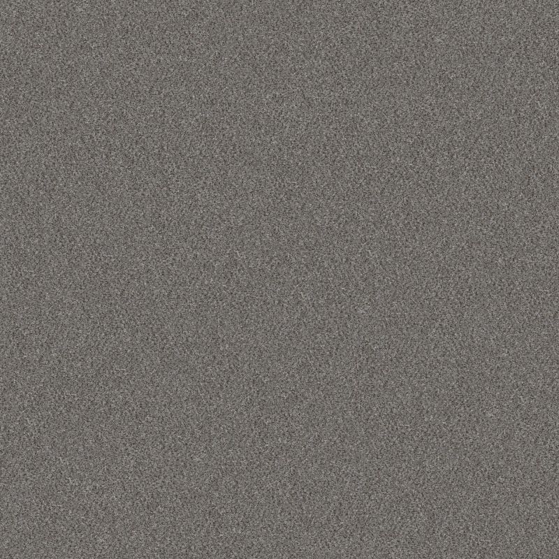 Shaw Floors Simply The Best Without Limits I Silver Spoon