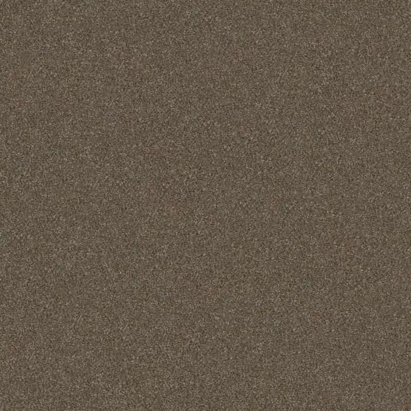Shaw Floors Simply The Best Without Limits I Bountiful