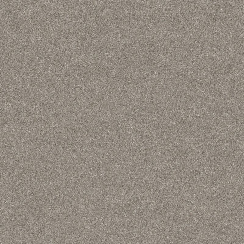 Shaw Floors Simply The Best Without Limits II Heather