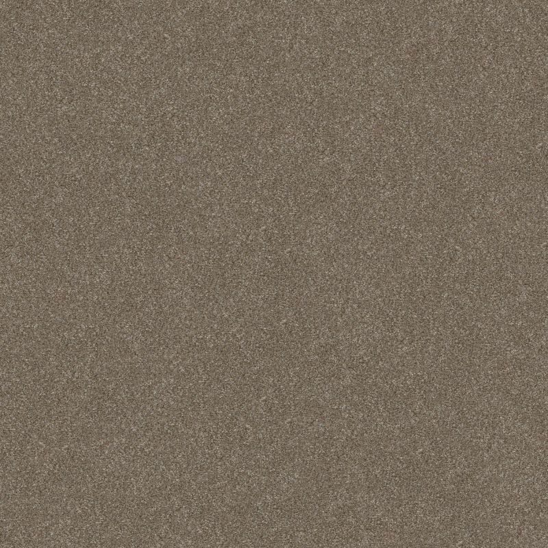 Shaw Floors Simply The Best Without Limits II Sandbank