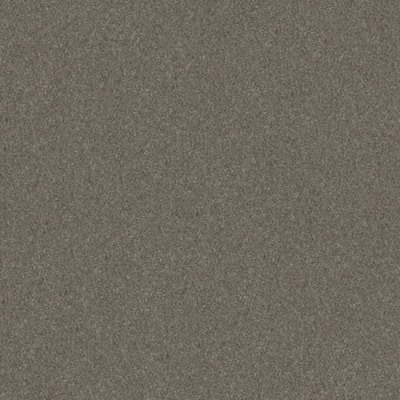 Shaw Floors Simply The Best Without Limits II Misty Mica