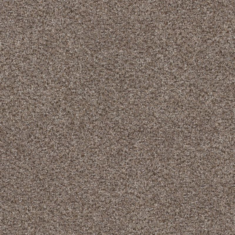Shaw Floors Simply The Best Without Limits II Saddle Tan