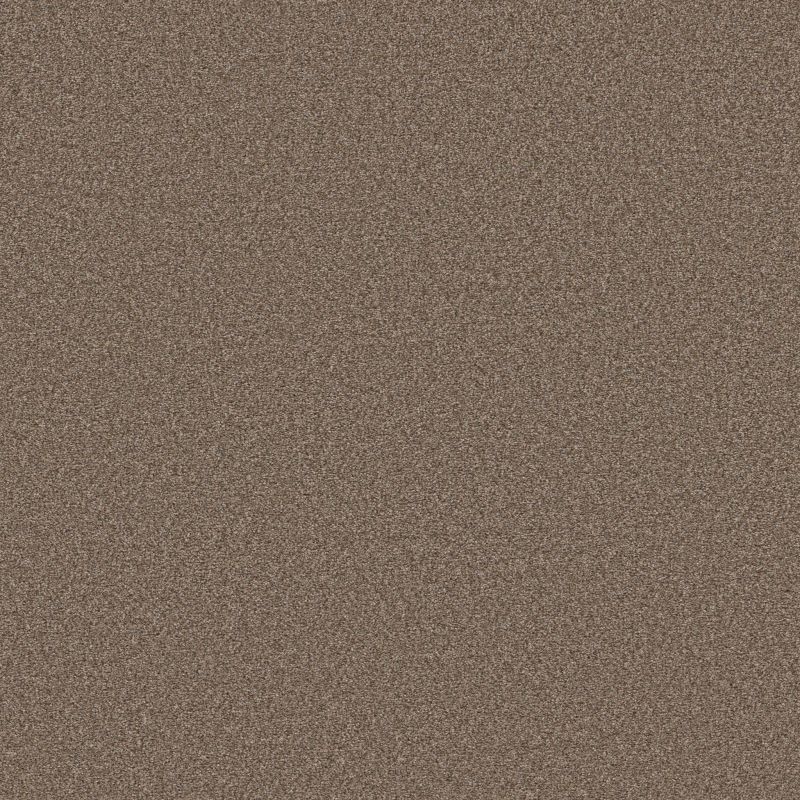 Shaw Floors Simply The Best Boundless I Treasure Trove