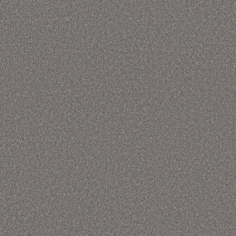 Shaw Floors Simply The Best Boundless I Flannel