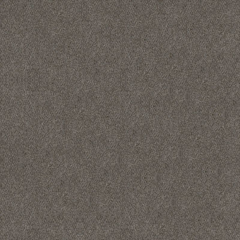 Shaw Floors Simply The Best Boundless I Magnetic