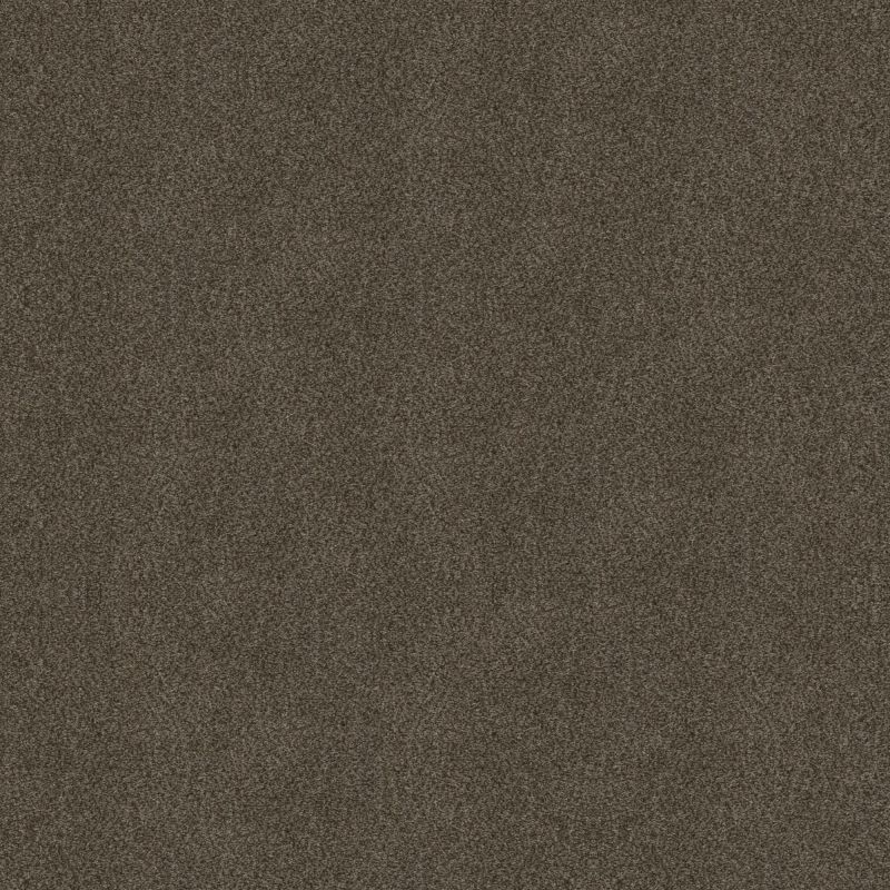 Shaw Floors Simply The Best Boundless II Chestnut Ridge