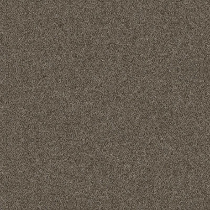 Shaw Floors Simply The Best Boundless III Woodcraft