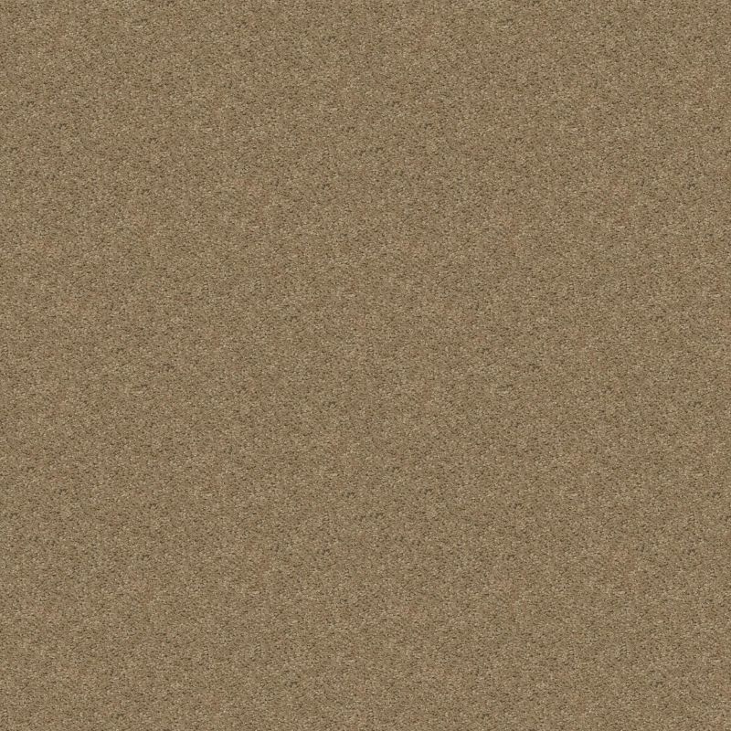 Shaw Floors Shaw Design Center Royal Portrush 1 12 Net Tassel